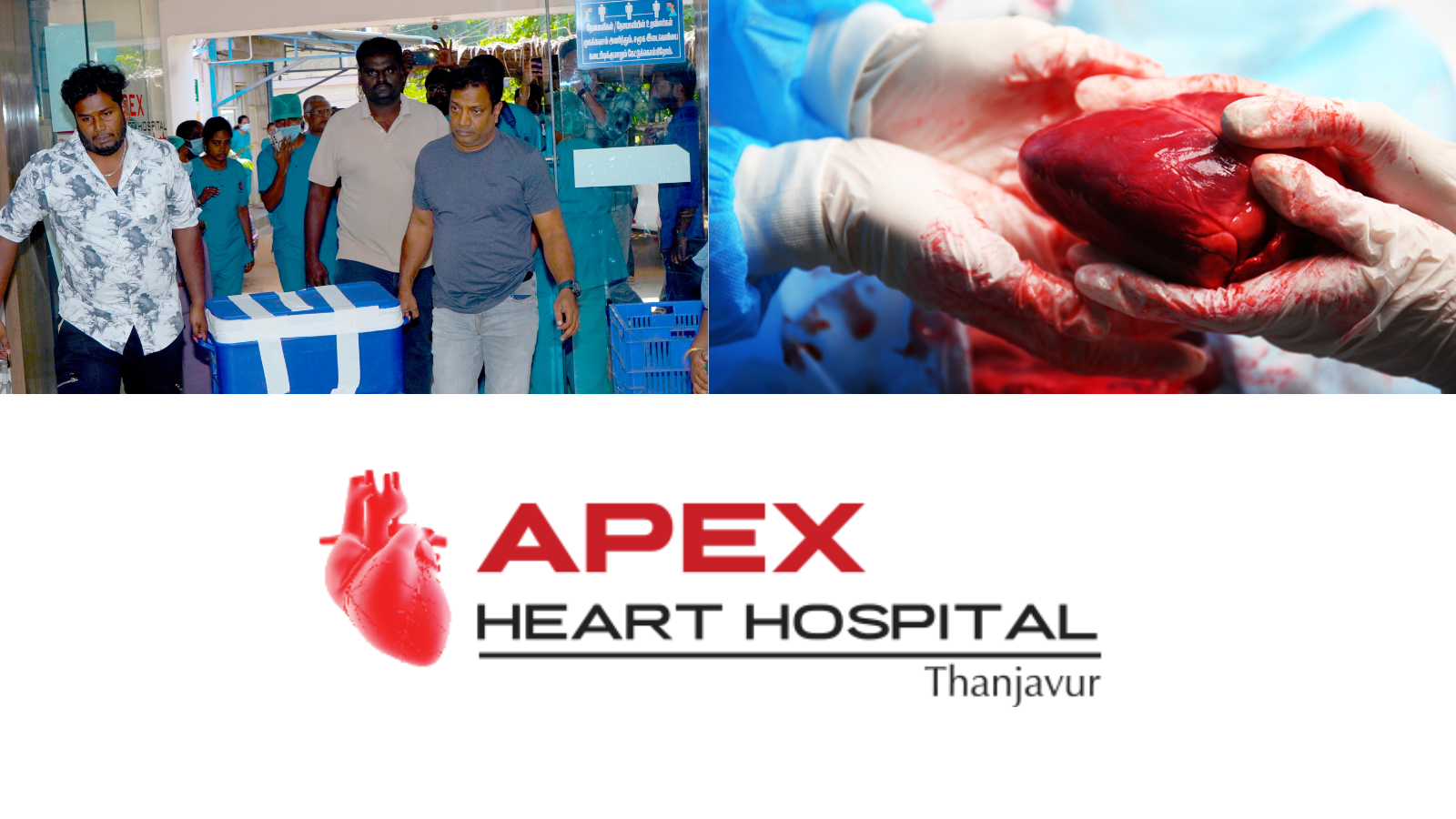 Apex heart hospital